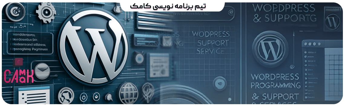 تیم برنامه نویسی کامک