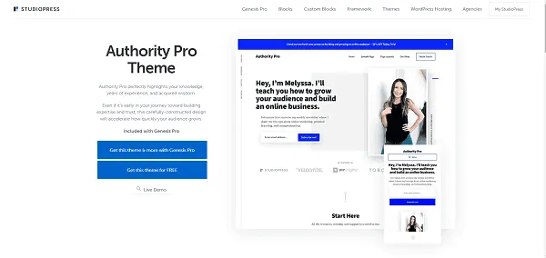 قالب Authority Pro
