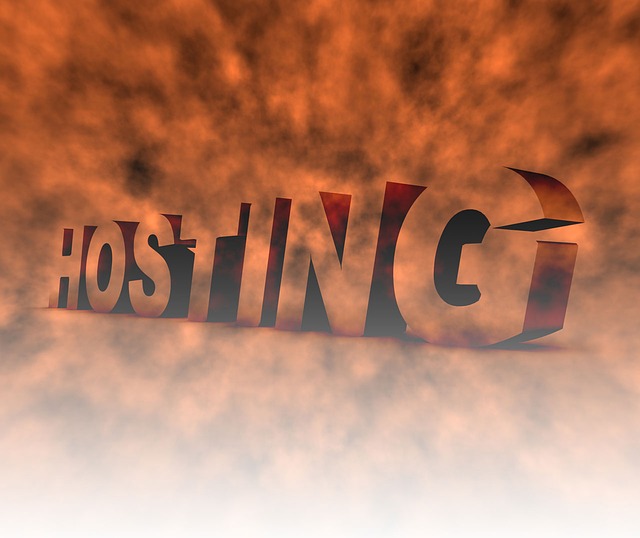 hosting-انتخاب‌ هاست وردپرس