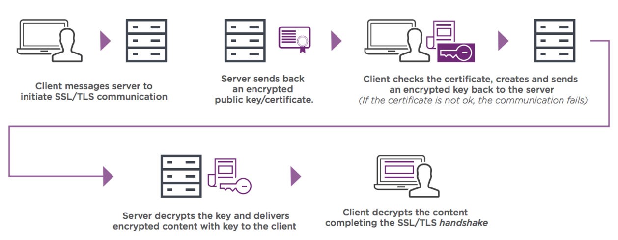 server- پروتکل HTTPS