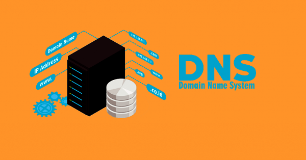 DNS چیست