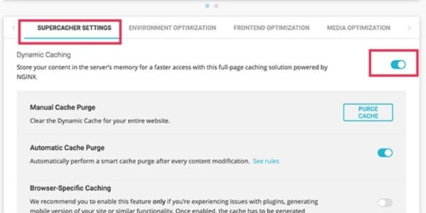 گزینه dynamic caching در افزونه SG Optimizer