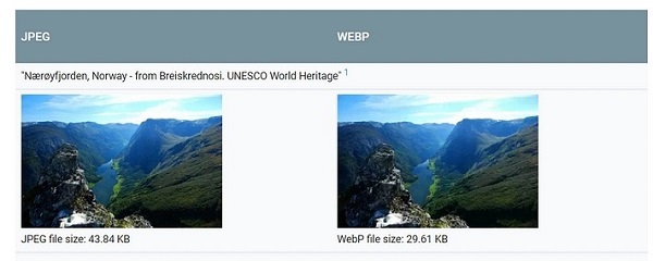 تفاوت فرمت WebP با JPEG