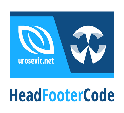 افزونه  Head & Footer Code