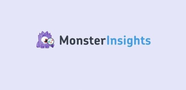 افزونه MonsterInsights وردپرس