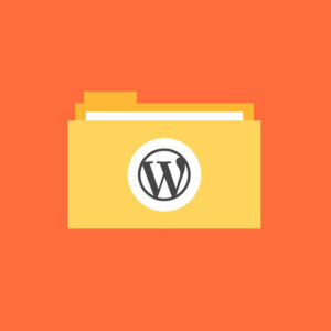 مشکل سطح دسترسی فایل ها و پوشه ها در وردپرس را چگونه رفع کنیم؟