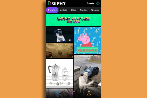 نرم افزار giphy