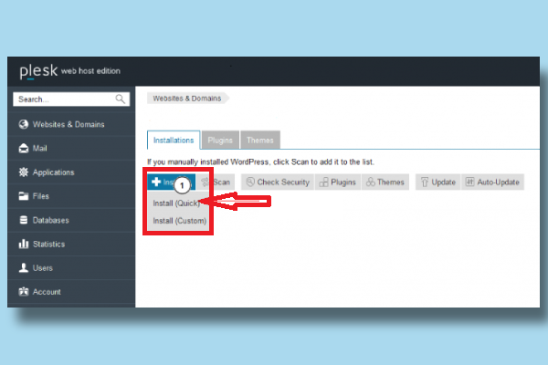 دو نوع نصب وردپرس در پلسک