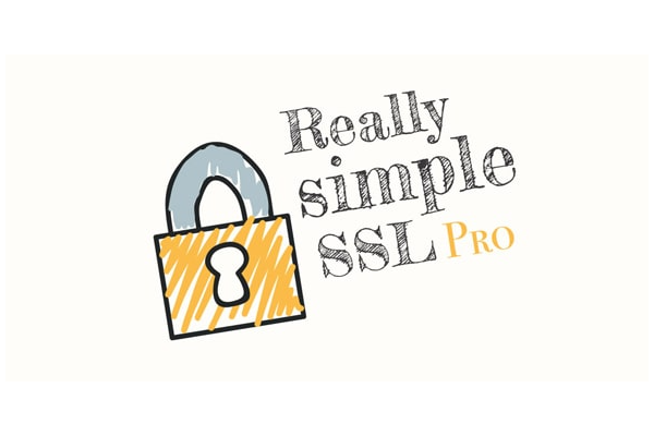 افزونه ssl pro