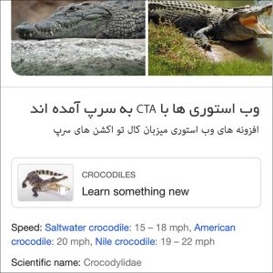 Google Learn Something New Web Story Feature