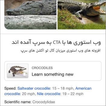 Google Learn Something New Web Story Feature