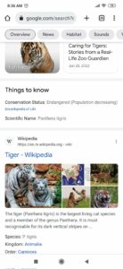 things to know google serp4