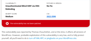  Unauthenticated Blind SSRF via DNS Rebinding