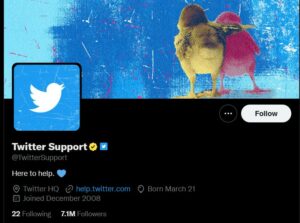 حساب رسمی Twitter Support
