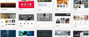 Design and sale of WordPress templates