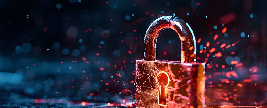 Announcing a cyber red state throughout the country [denied]