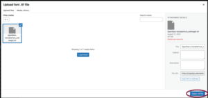 Select the Variable font file
