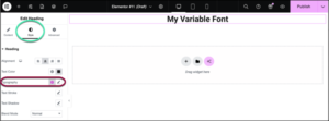 use variable fonts in a widget