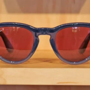 Using meta smart glasses data to train artificial intelligence
