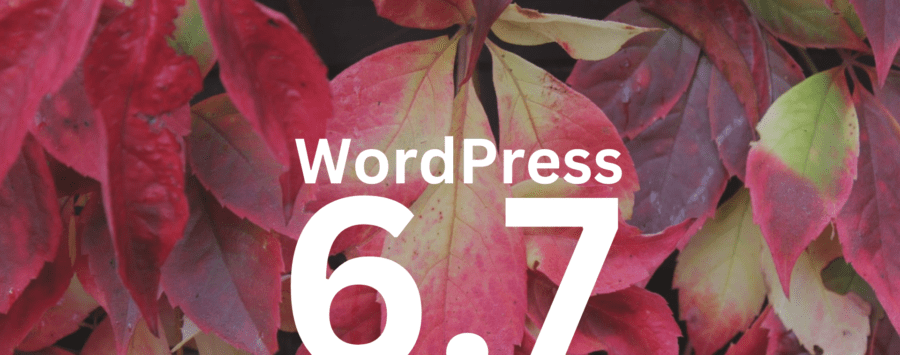 how to solve the translation problems in WordPress 6.7 main picture