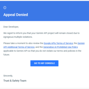Appeal Denied for the Gemini API project