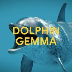 Google's AI to decode dolphin sounds unveiled