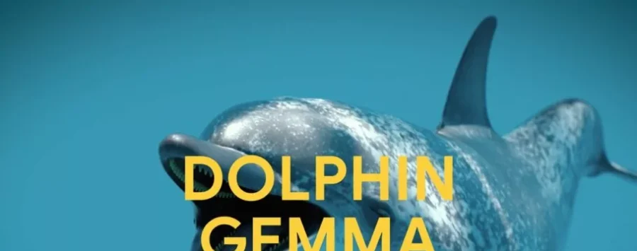 Google's AI to decode dolphin sounds unveiled