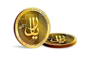 Using digital rials in online stores