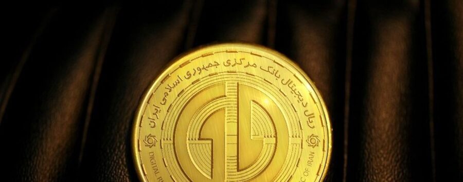 Using digital rials in online stores