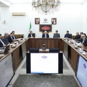 First Vice President emphasizes providing services through the National Information Network