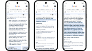 google AI overview
