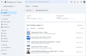 ویژگی social channels Insights در کنسول جستجوی گوگل
