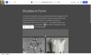 WordPress 7.0