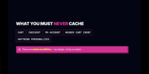 50 Shades of Cache a WooCommerce Deep Dive