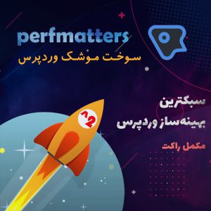 افزونه افزایش سرعت سایت perfmatters | مکمل موشک وردپرس