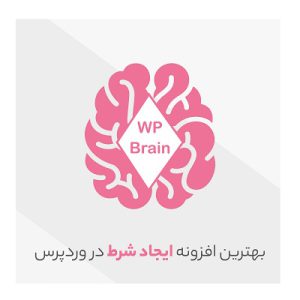 افزونه ذهن هوشمند وردپرس | WP Brain