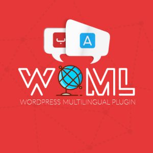 افزونه چند زبانه کردن سایت | WPML Multilingual CMS