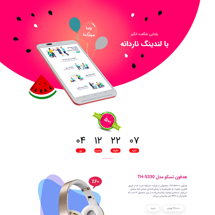 قالب HTML لندینگ ناردانه